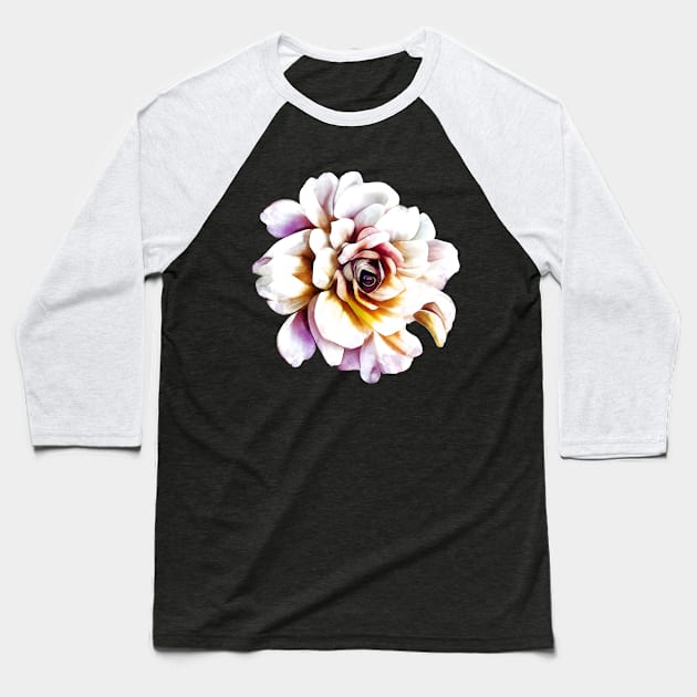 White Rose Baseball T-Shirt by CatyArte